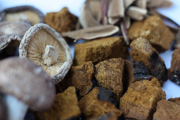 A variety of medicinal mushrooms