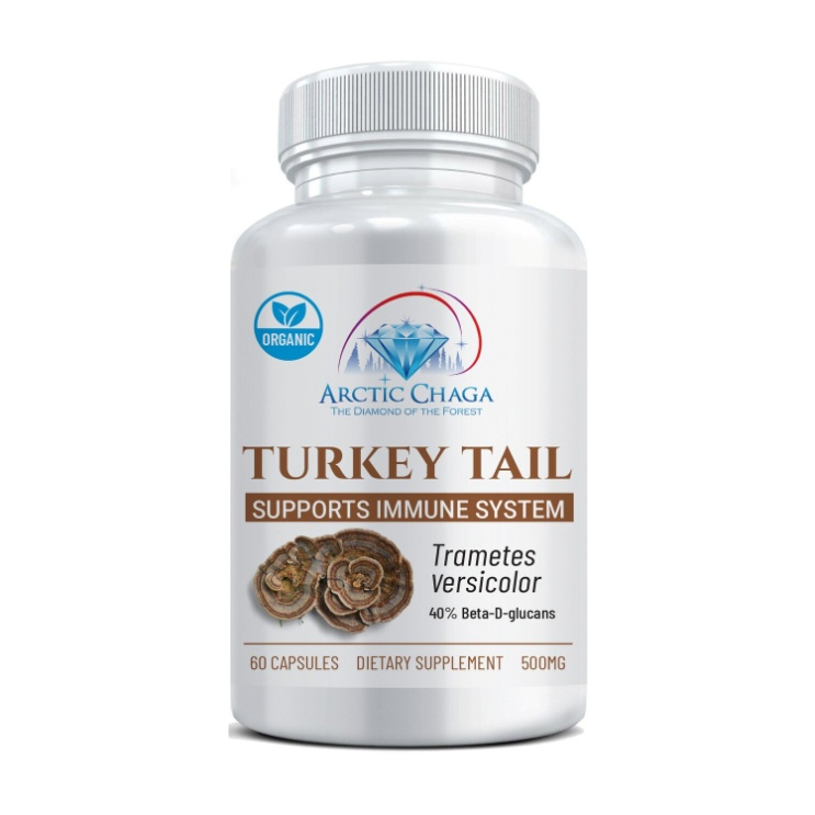 Turkey-tail Capsules by Arctic Chaga 